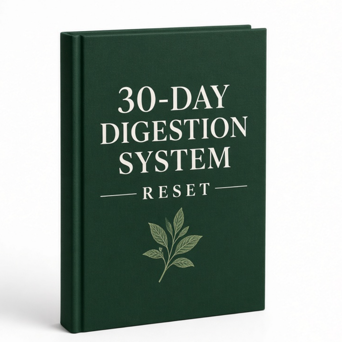 30-Day Digestion System Reset E-book